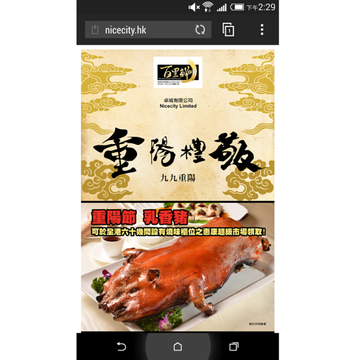 Nice City Mobile Site Development