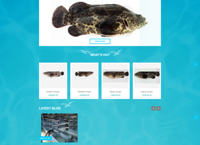 Arafuras eCommerce responsive website