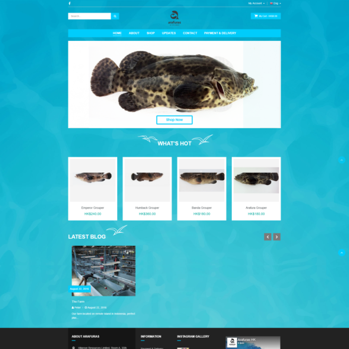 Arafuras eCommerce responsive website