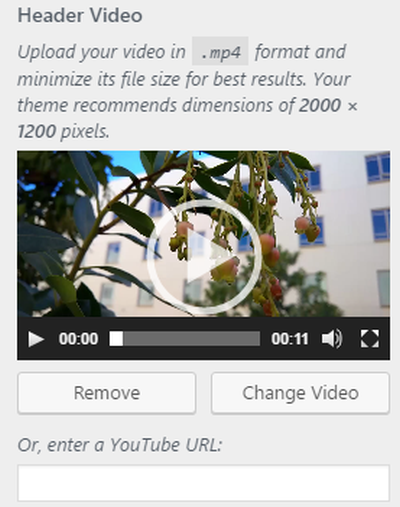 Video Header Support in WordPress 4.7