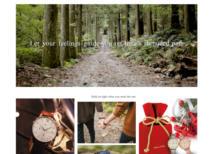 Solvil et Titus WordPress Website (with WooCommerce)