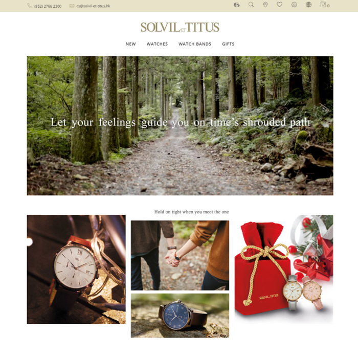 Solvil et Titus WordPress Website (with WooCommerce)